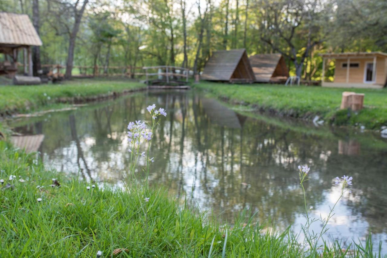 Kamp Na Otoku - Ljubno Ob Savinji 호텔 외부 사진
